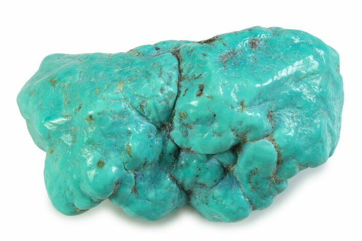 Polished Chilean Turquoise ( grams) Nugget #358831